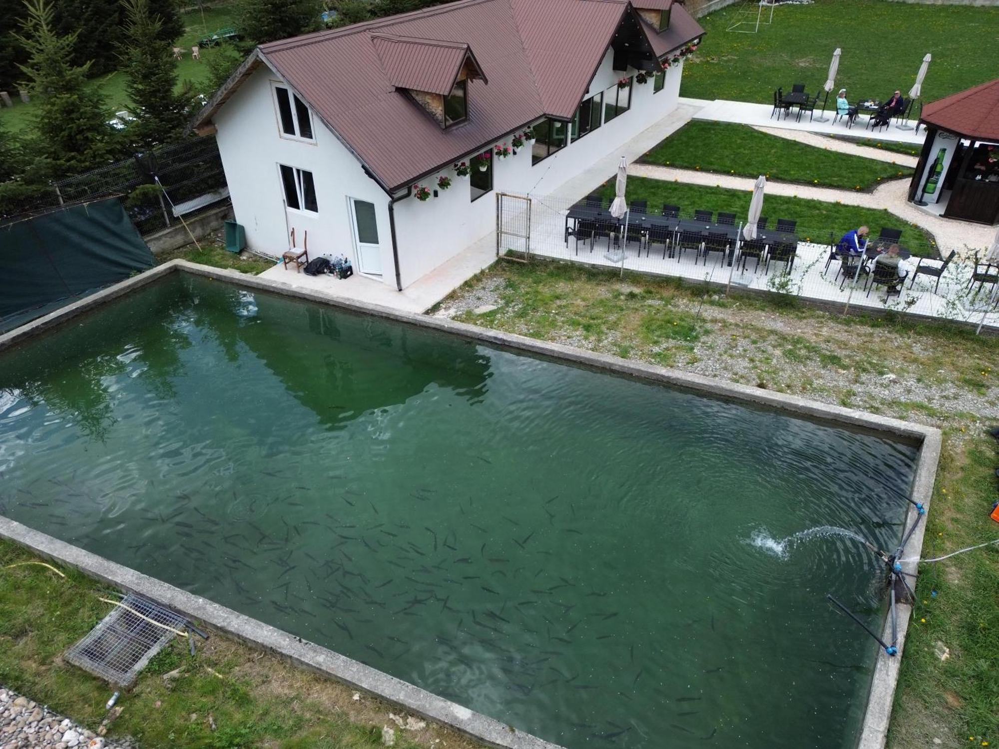 Cabana Izvoarele Doftanei Traisteni Bagian luar foto